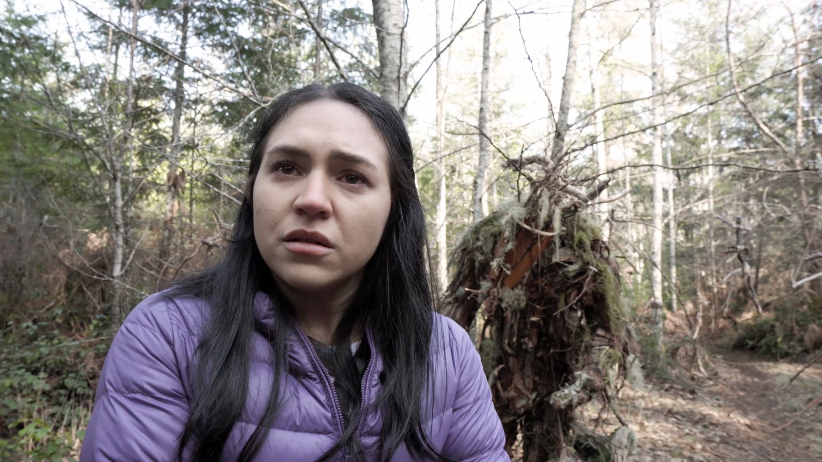 THE STICKMAN HOLLOW - STILL -44 Kopie