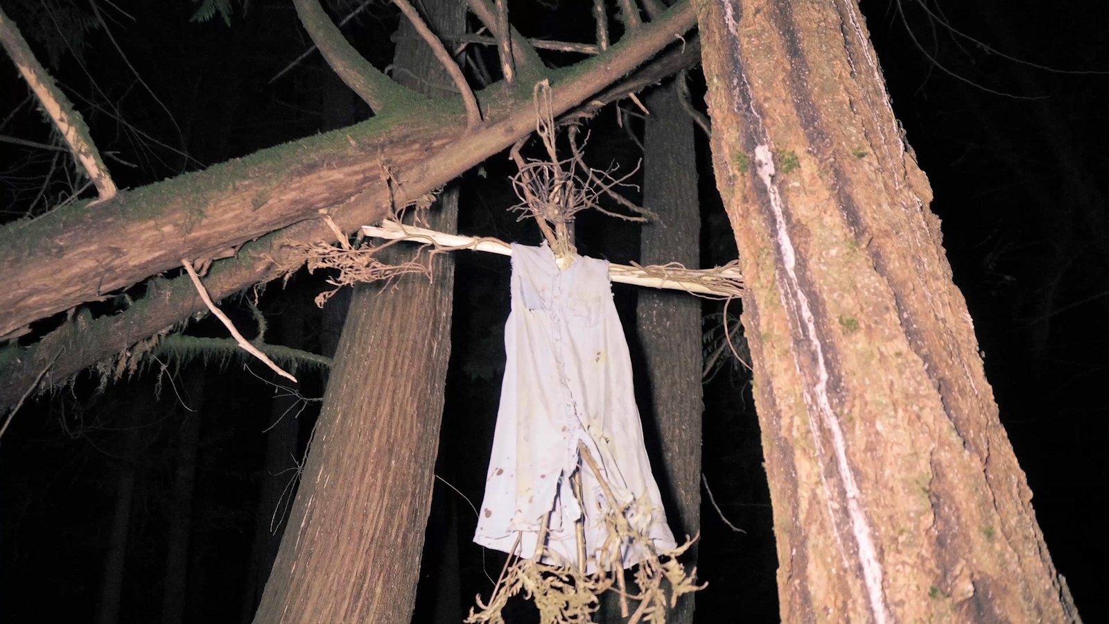 THE STICKMAN HOLLOW - STILL -48 Kopie